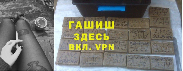 индика Арсеньев