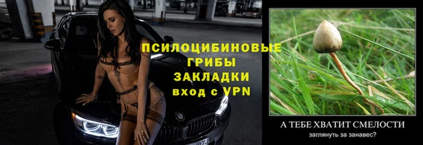 индика Арсеньев