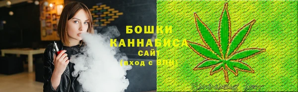 индика Арсеньев