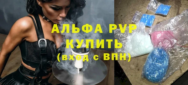 индика Арсеньев