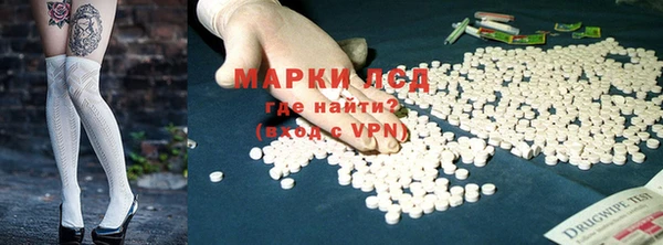 индика Арсеньев