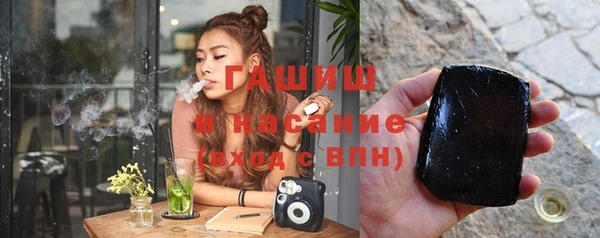 индика Арсеньев