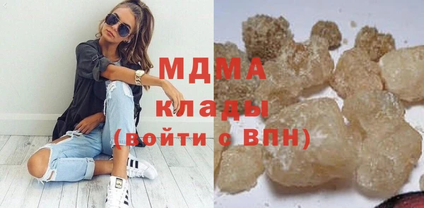 индика Арсеньев
